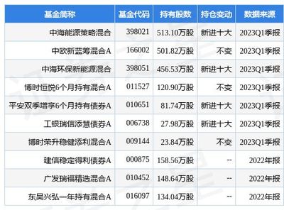 基金398021,稳健投资之道,聚焦能源领域(图1) 基金398021,稳健投资之道,聚焦能源领域(图1)